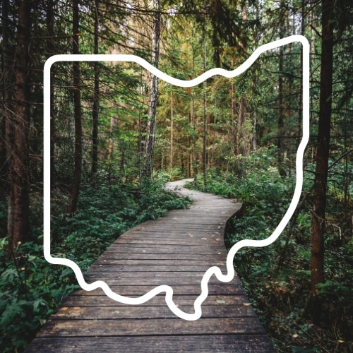 A serene wooden path in the woods, leading visitors to discover a hidden gem - Ohio's Tappan Lake, known for its panoramic beauty and the cozy cabin rentals offered by Tappan Lakeside Resort. An outline of the state of Ohio is overlayed on the image.